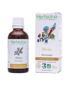 Extrait de plante fraîche - Olivier BIO - Olea europaea BIO, 50 ml